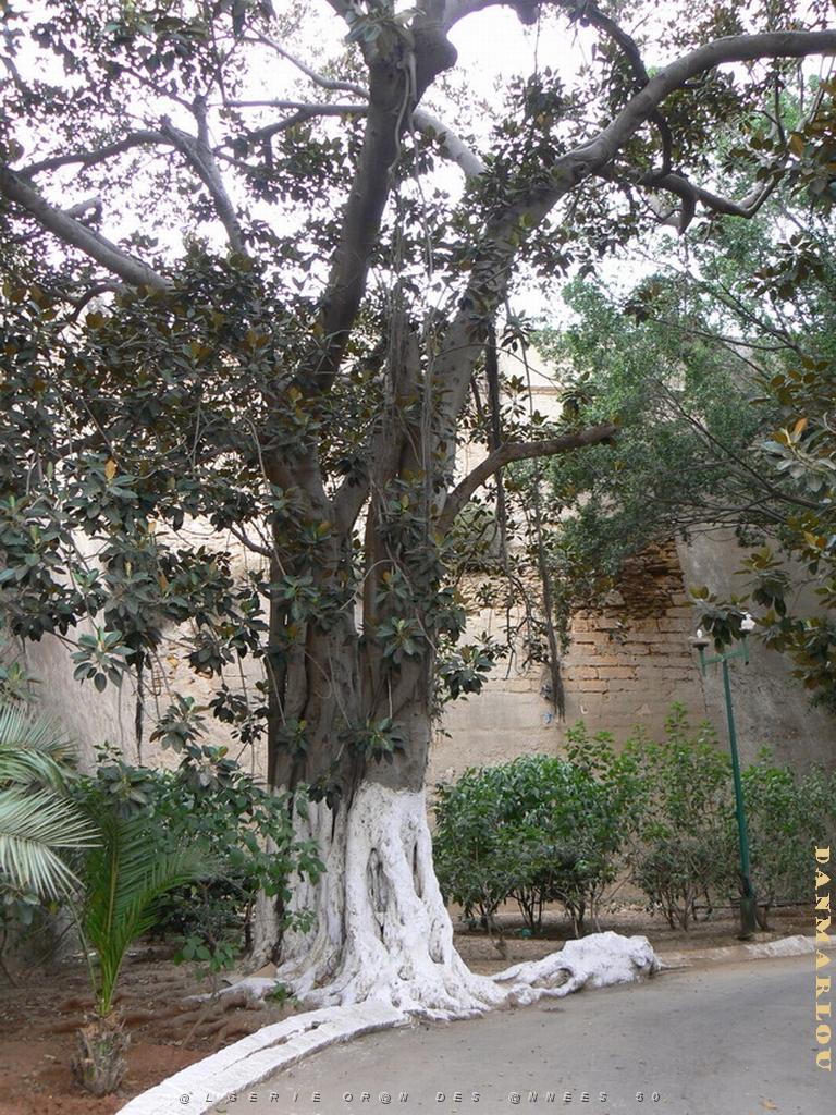 41 promenade de Letang .jpg